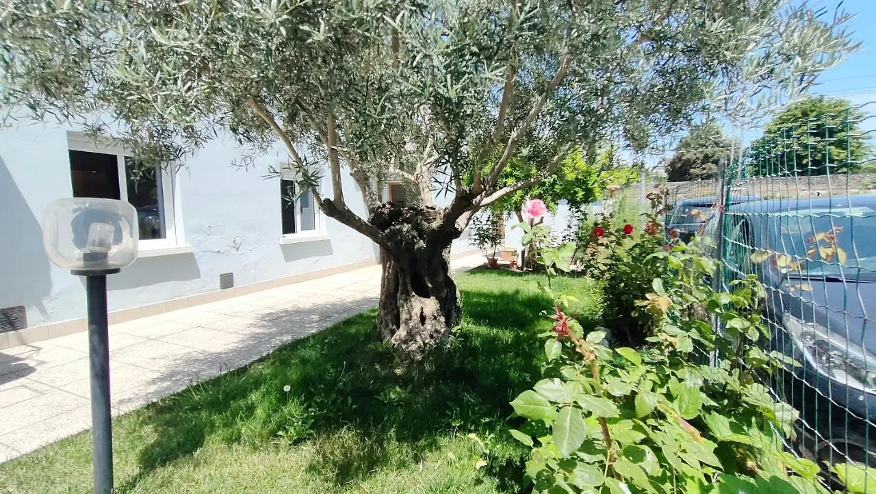 Casa Lety Con Giardino, By Affitti Brevi Rimini Διαμέρισμα